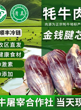 冷冻商用正宗带肉原切新鲜牛腱子