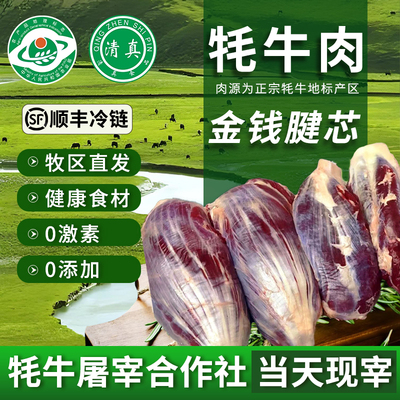 冷冻商用正宗带肉原切新鲜牛腱子