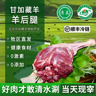 清真藏羊肉羊腿4斤青海临夏甘肃烧烤火锅生新鲜整羊腿肉现宰