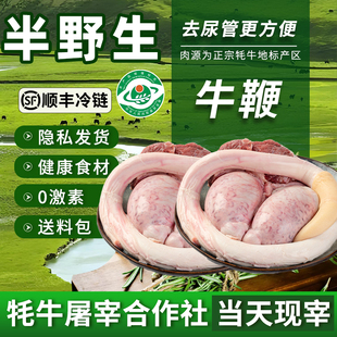 牛鞭新鲜高原西藏牦牛鞭2鞭4蛋全2套牛三宝商用补精男性新鲜现宰