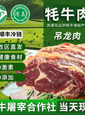 清真吊龙牦牛肉4斤新鲜现杀伴潮汕火锅食材牦牛嫩里脊雪花白牦牛