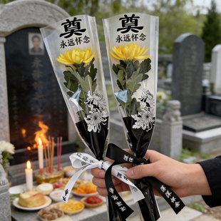 清明节深深怀念防水单支袋菊花祭祀祭奠学校扫烈士墓菊花上坟花店