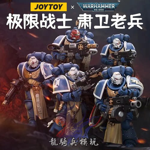 JOYTOY暗源战锤40K肃卫老兵