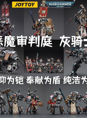 兵人暗源战锤40K灰骑士终结者