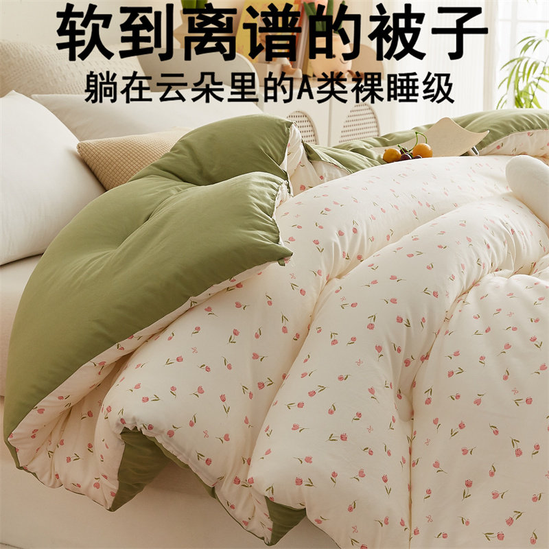 被子冬被被芯双人家用保暖