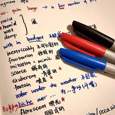 雄狮88划重点写标题细头记号笔