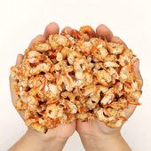 海南无盐特产金钩海米大虾米干货海鲜大虾仁新鲜无盐即食好吃 包邮