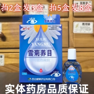 鲲鹏药业雪菊养目医用凝胶鲲元 药房正品 堂护理 拍2盒发3盒