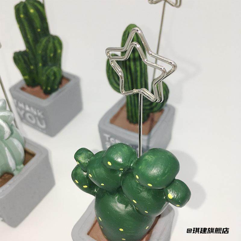 绿植留言夹照片夹小夹子名片创意举牌标签便条复古办公仙人掌个性,收纳整理,夹子/收纳夹子,淘宝优惠券,粉丝福利购,淘宝优惠卷