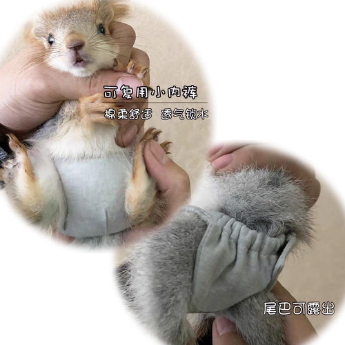 仓鼠衣服换洗土拨鼠尿布异宠耐磨