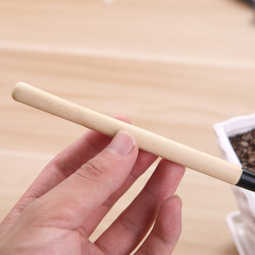 园艺工具三件套种花种菜小铁锹