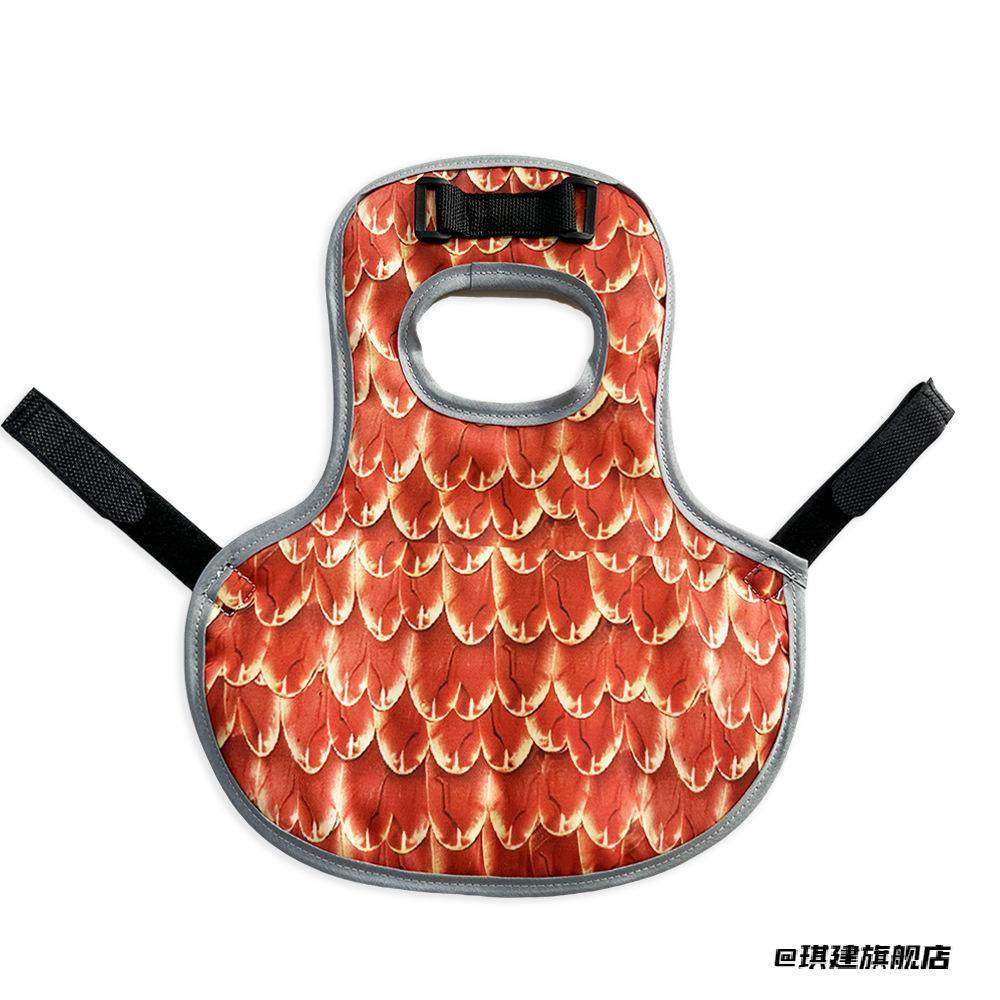 鸡背心鸡鸭防水保暖背心宠物防护服鹅搞怪鸡万圣节鸡鸭保暖背心鸭,宠物/宠物食品及用品,其它服饰配件,淘宝优惠券,粉丝福利购,淘宝优惠卷