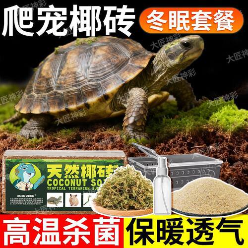 乌龟冬眠椰土过冬椰砖苔藓巴西龟