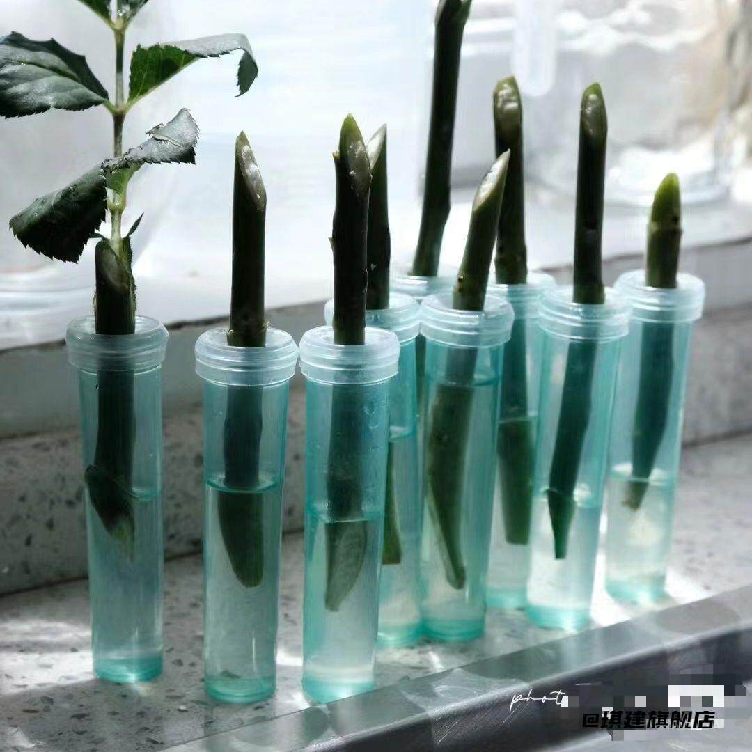 多规格鲜花营养管适配粗细枝干玫瑰百合兰花通用保鲜小管