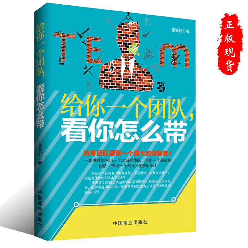 正版给你一个团队看你怎么带企业管理团队建设书籍9787504484239中国商业出版社