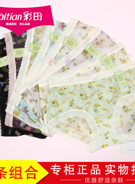 3条装彩田超薄性感通透飘飞短裤32225女透气网纱茶多酚内裤32226