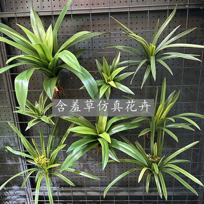 高仿真软胶蕙兰叶手感吊兰叶绿色植物花槽墙面大型盆栽摆放绿植,鲜花速递/花卉仿真/绿植园艺,仿真绿植,淘宝优惠券,粉丝福利购,淘宝优惠卷