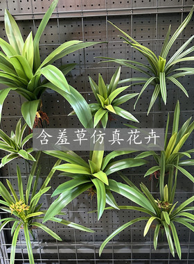 高仿真软胶蕙兰叶手感吊兰叶绿色植物花槽墙面大型盆栽摆放绿植
