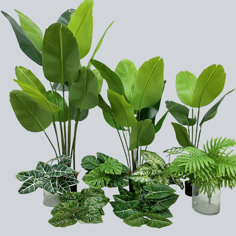 散尾葵旅人蕉北欧风大束海芋手感