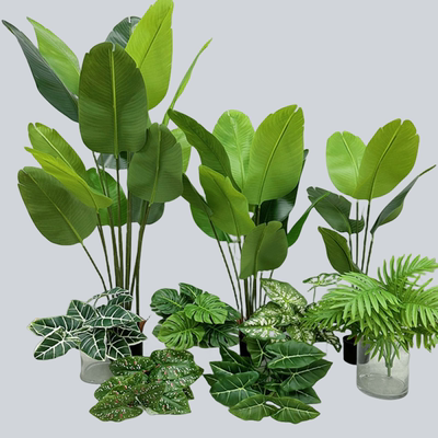 散尾葵旅人蕉北欧风大束海芋手感