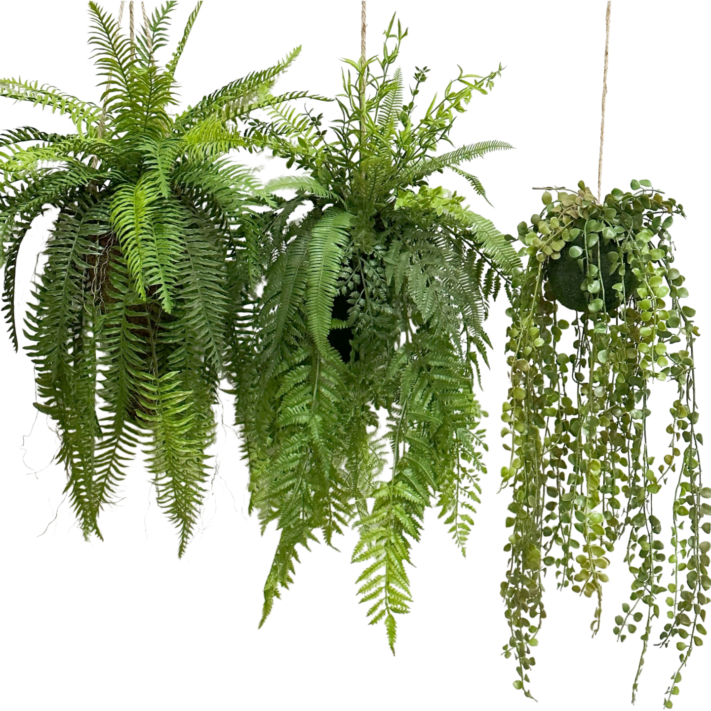 森系蕨类垂吊植物仿真霸王蕨波斯蕨餐厅装饰景观悬挂造景吊顶绿植