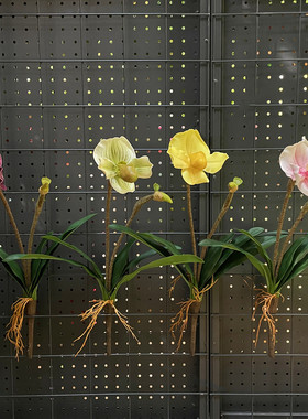 高仿真金童兜兰带叶兰花植绒枝杆
