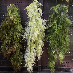 高仿真文竹壁挂绿植藤蔓塑料挂藤餐厅花艺软装实景工程垂挂装饰