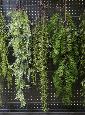 仿真植物菠草南洋杉塑料藤蔓装饰