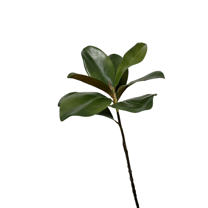 真手感玉兰叶长枝落地植物木棉叶室内大型景观装饰树叶植物