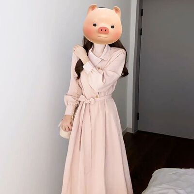 2026新款收腰法式气质粉色长袖衬衫连衣裙子女春秋季穿搭显瘦长裙