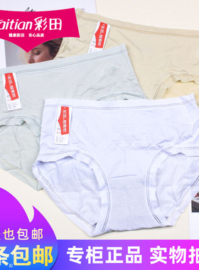 三条包邮彩田冰爽莫代尔小凉裤15229女士透气速干加大码短裤15231