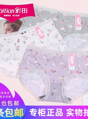 三条包邮彩田女士冰丝薄短裤31693中腰牛奶丝蕾丝性感内裤31695