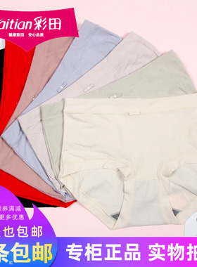 三条包邮彩田女士莫代尔螺纹中腰32035纯色简约高腰内裤32036