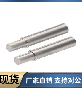 ZAS01 02-D2 D3 D4 D5-H1.5 H3 H4 H6 H8 H9 H12 小径定位柱 柱塞