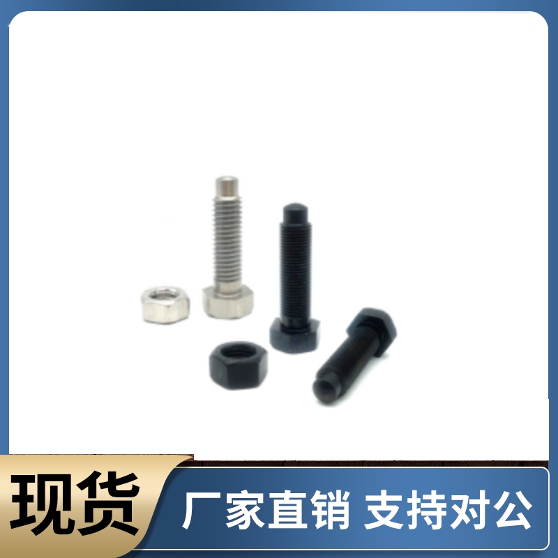 定位螺栓SSTCA SSTBA STBAS4 5 6 8 10 12-20 25 30 40 50 60 70