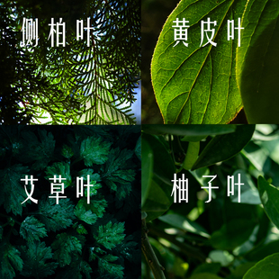 四叶柚子叶黄皮叶柏叶艾叶原材料包除晦气除秽气去霉运开运净宅