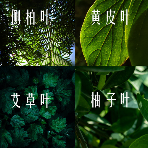 四叶柚子叶黄皮叶柏叶艾叶原材料包除晦气除秽气去霉运开运净宅