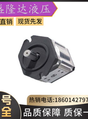 ECKERLE/艾可勒EIPC5-100RA23-10折弯机内啮合齿轮泵注塑机伺服泵