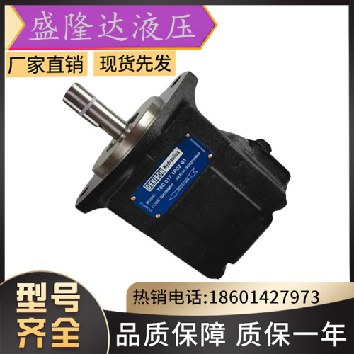 全新丹尼逊注塑机械液压油泵T6EDCS-R85-B50-B14-2R01-A1F0叶片泵