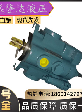 DENISON油泵/PV10/PV15 2R1C/2R1B/2R5D C02/C00丹尼逊电动柱塞泵