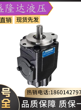 DENSION注塑机油泵丹尼逊叶片泵切割机船舶泵SDV20-1P7P-1D液压泵