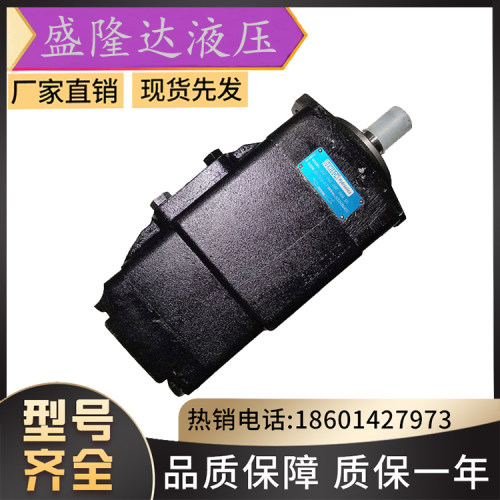 丹尼逊油泵T6CCZ-B25-B28-WL00-A1液压泵T6CCM-B08-B06-5L01-D111