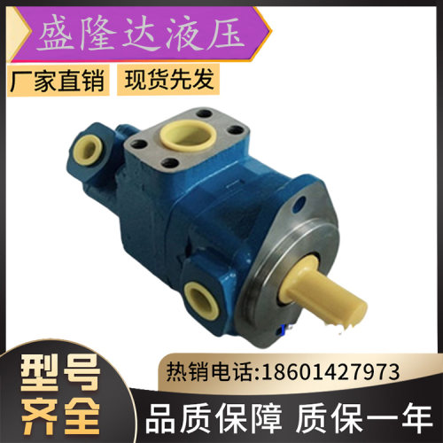 威格士V20-1P12P-1C20/V20-1P12P-1B20叶片泵VICKERS液压泵浦维修