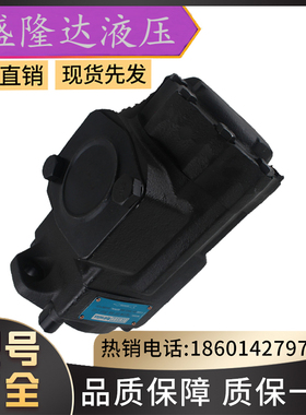 美国DENISON丹尼逊叶片泵T6C-017-3R01-B1 T7BS-B10-1R00-A1M电动