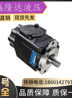 DENISON丹尼逊液压油泵/T6DC-042-006 008 010012 014 -1R00-C100