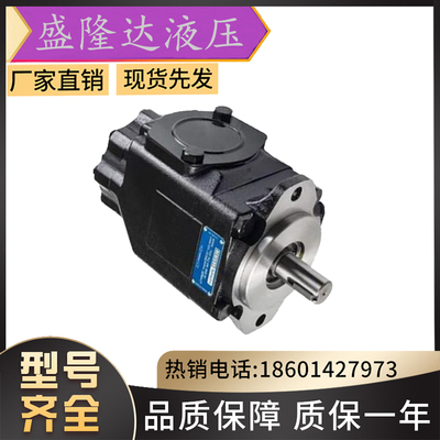 DENISON丹尼逊液压油泵/T6DC-042-006 008 010012 014 -1R00-C100