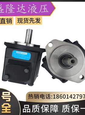 派克DENISON叶片泵/T6CM-B06-1R00-C1注塑机油泵T6CM-B08-1R00-C1