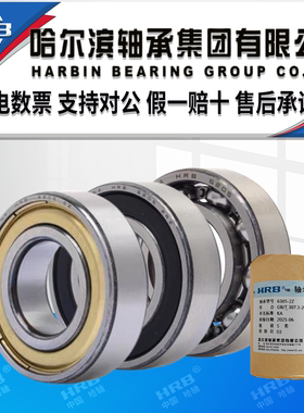 hrb哈尔滨轴承6300 6301 6302 6303 6304 6305 zz rz深沟球双密封
