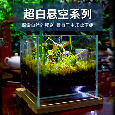 悬浮苔藓微景观斗鱼缸超白玻璃