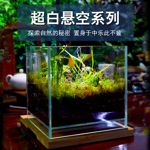 鱼缸苔藓价格 鱼缸苔藓图片 星期三